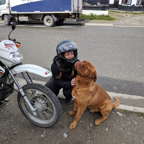 Meet your Posher, AJ. - Picture 3 of 4